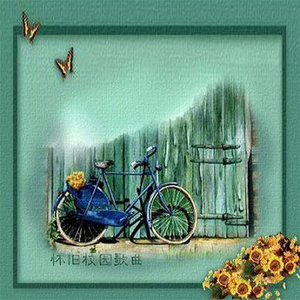 国产欧美日韩国产高清
