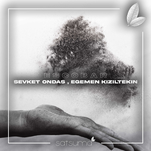 国产欧美日韩国产高清
