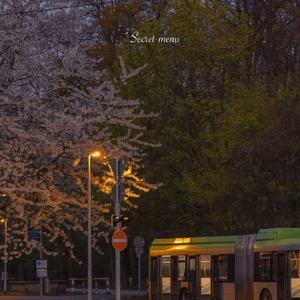 国产欧美日韩国产高清
