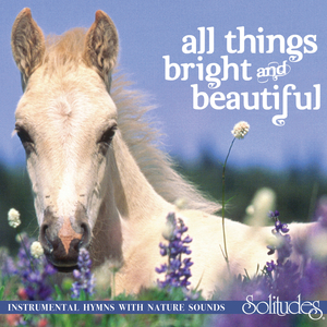 国产欧美日韩国产高清
