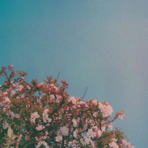 国产欧美日韩国产高清
